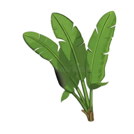 Banana Leaf Right Decoration