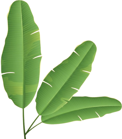 Banana Leaf Decoration